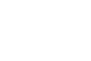 RonyTrans