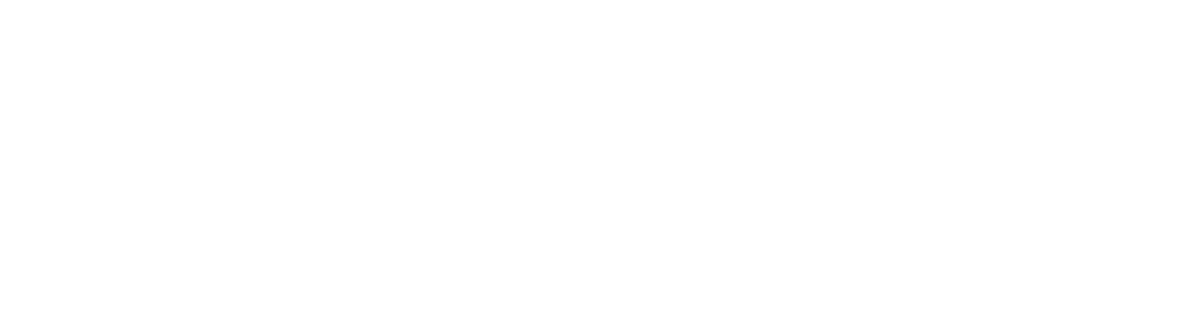 RonyEnvi