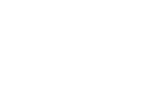 RonyTrans